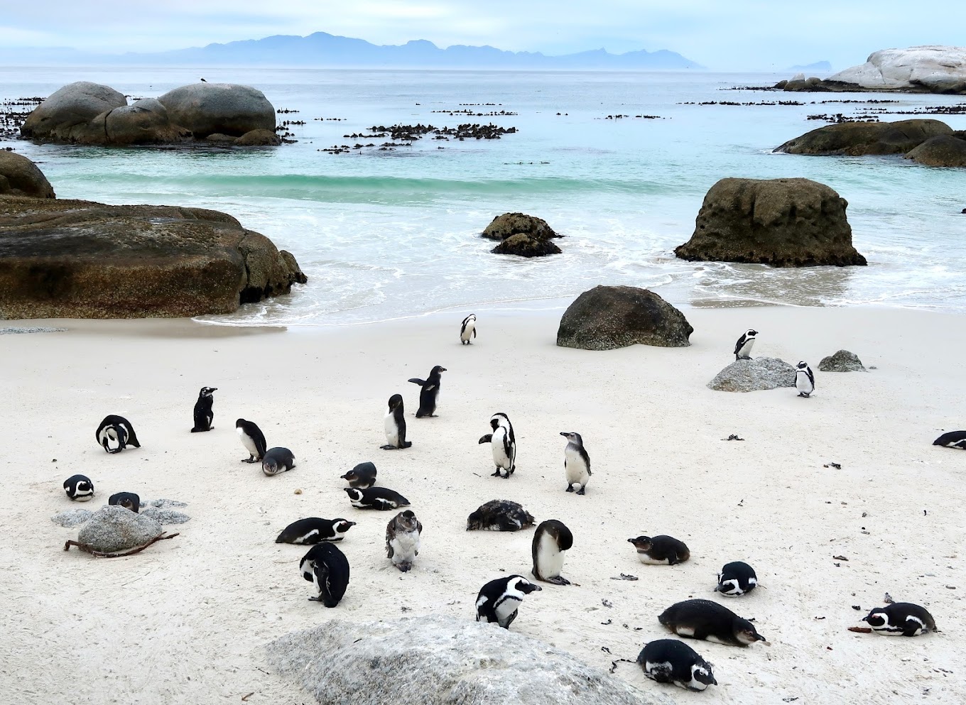 boulders-beach